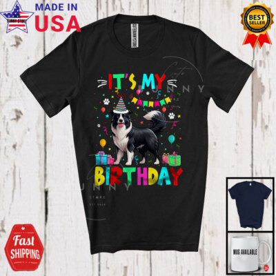 It's My Birthday; Adorable Party Celebration Border Collie Owner; Family T-Shirt