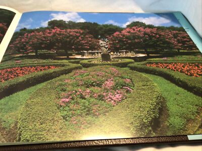 North Carolina by Ann McCarthy | eBay