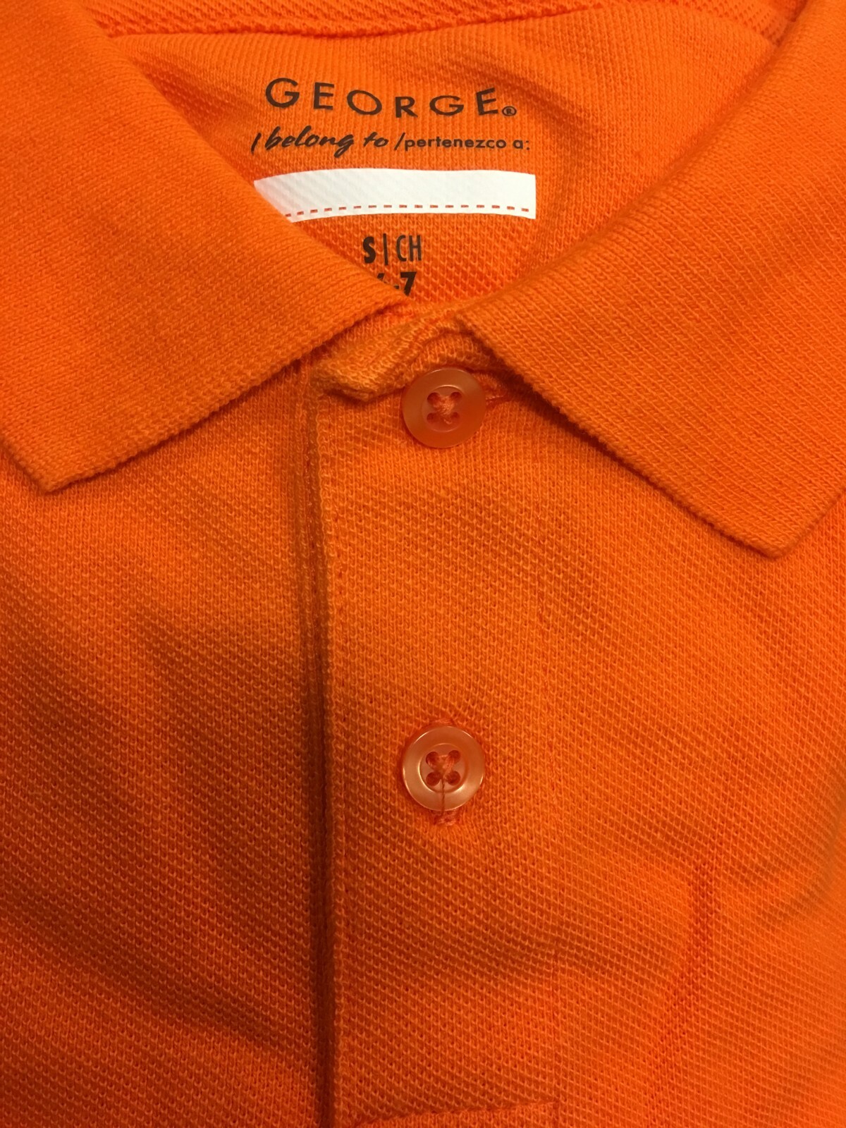 Picture 13 of 13