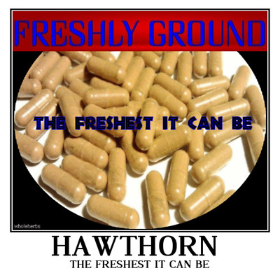 HAWTHORN BERRY Powder Potency The Freshest it Can Be  Fresh 100 Capsules 500 mg
