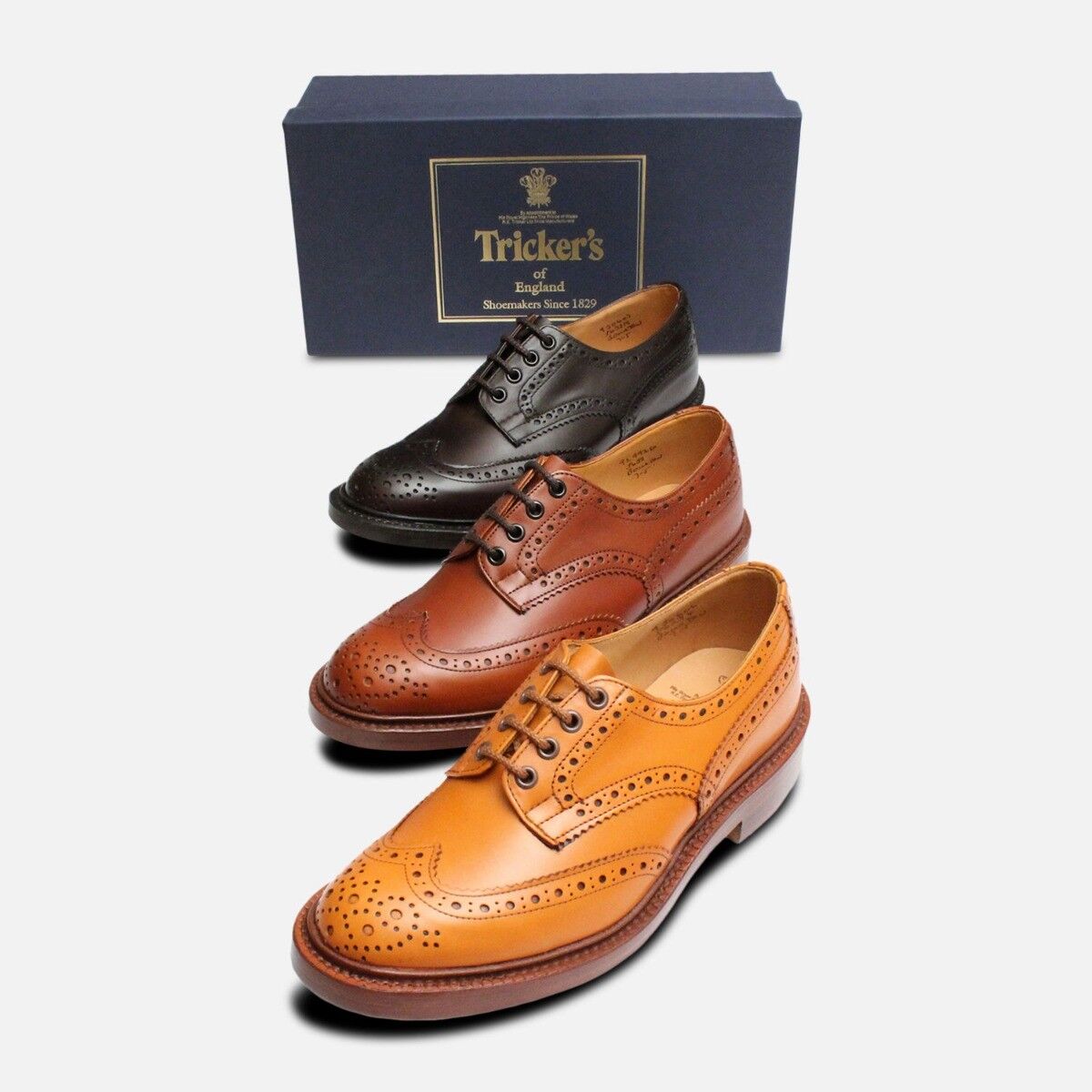 Trickers Bourton Acorn Brogue Shoes