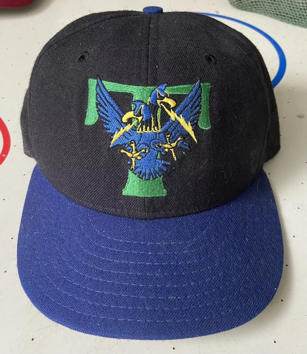 Trenton thunder fitted hats hot sale