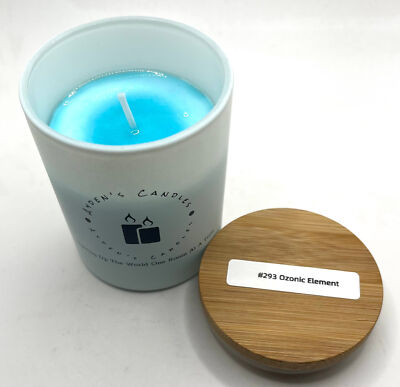 Aydens Candles - Ozonic Element Scented Candle #293