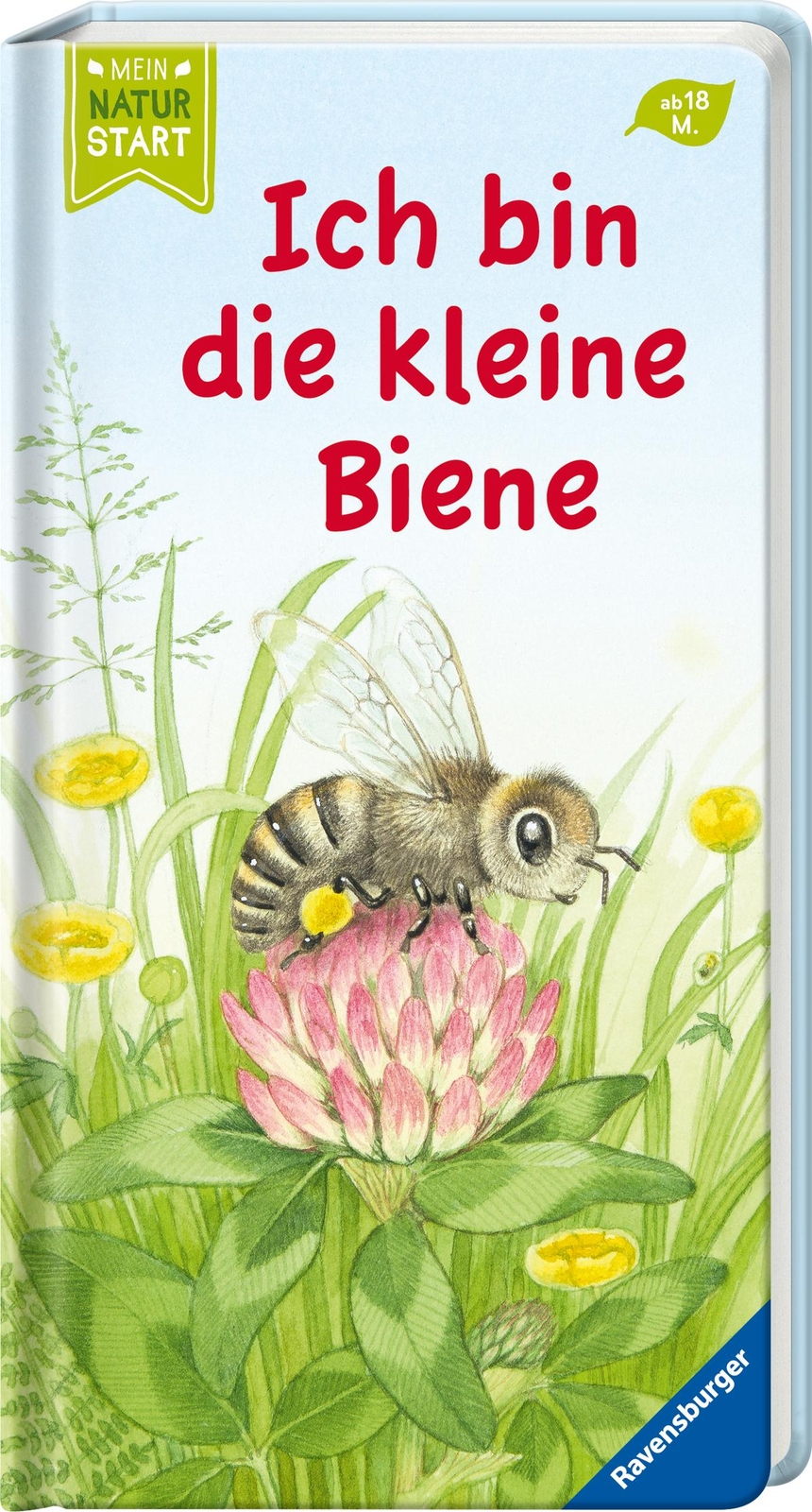 Thumbnail - Ich Die Kleine Biene, Sandra Grimm