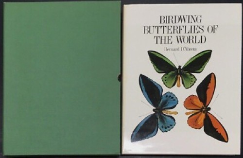 The International Butterfly Book 英語版 初版本 The International Butterfly Book 英語版 初版本 The