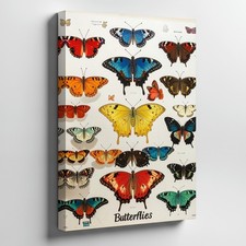 Wall Art Canvas a Colorful Collection of Butterflies Presented in a Modern