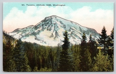 Mount Tacoma Alpine Snowfields Cascade Range Tacoma Washington Postcard