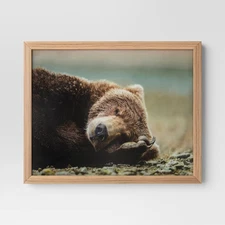 20" x 16" Bear Photography Framed Art Brown - Threshold