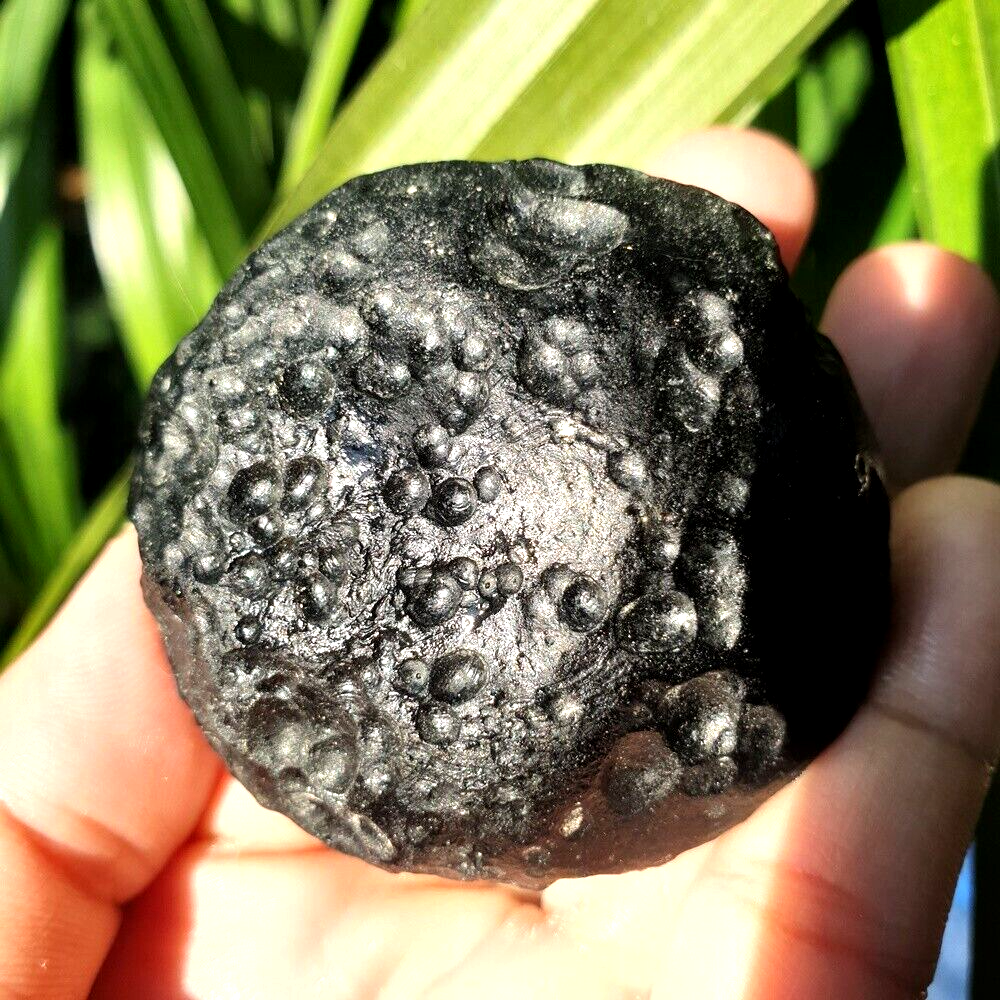 VERY RARE TEKTITE METEORITE THAILAND ROCK HEALING STONE Black