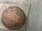 1922 $1 Peace Dollar Circulated Toned