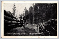 Vintage Postcard: Western Yellow Pine Loading, Northwest U.S. Forest Service