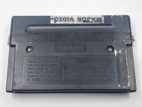 Mystical Fighter- Sega Genesis Game and Case no Manual - Pins Cleaned - TESTED