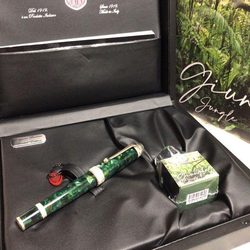AURORA Limited Edition Ambiente Giungla Fountain Pen Nib F 18K New - Picture 5 of 10