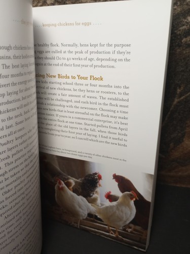 The Joy of Keeping Chickens: The Ultimate Guide By Jennifer Megyesi - Picture 12 of 17