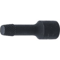 Bgs 5281-10 Spezial-SteckschlüSsel-Einsatz / Schraubenausdreher, Antrieb