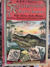 Schuberts Naturgeschichte der Reptilien, Amph...