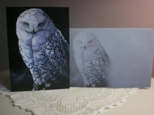 Tree-Free - Blank - Snowy Owl on the Cover