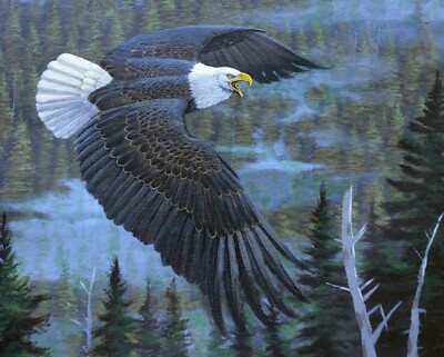 Bald Eagle Flying Fabric Panel  Cotton 36 inches x 45 inches