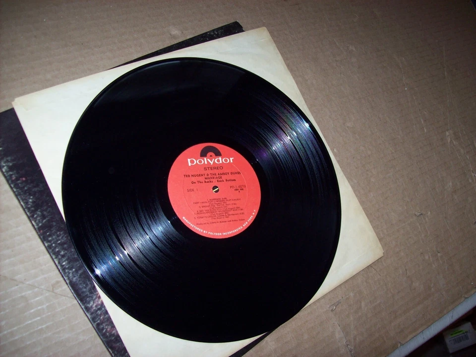 Ted Nugent & the Amboy Dukes Marriage on the Rocks Vinyl LP record Polydor NM - Image 3 of 4