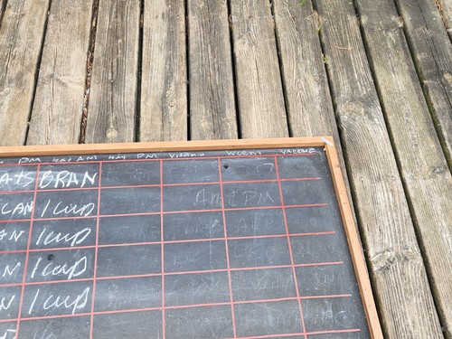 Horse Stall Chalkboard Farmhouse Decor Farm Barn Feeding Schedule 25x49 Vintage - Picture 18 of 24