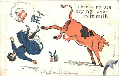Cow Kicking Woman Comic Postcard 1906 Crying Over Spilt Milk AC Bosselman