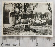 1938 Senior Service Our Countryside 23 Old Shepherd, Crondall