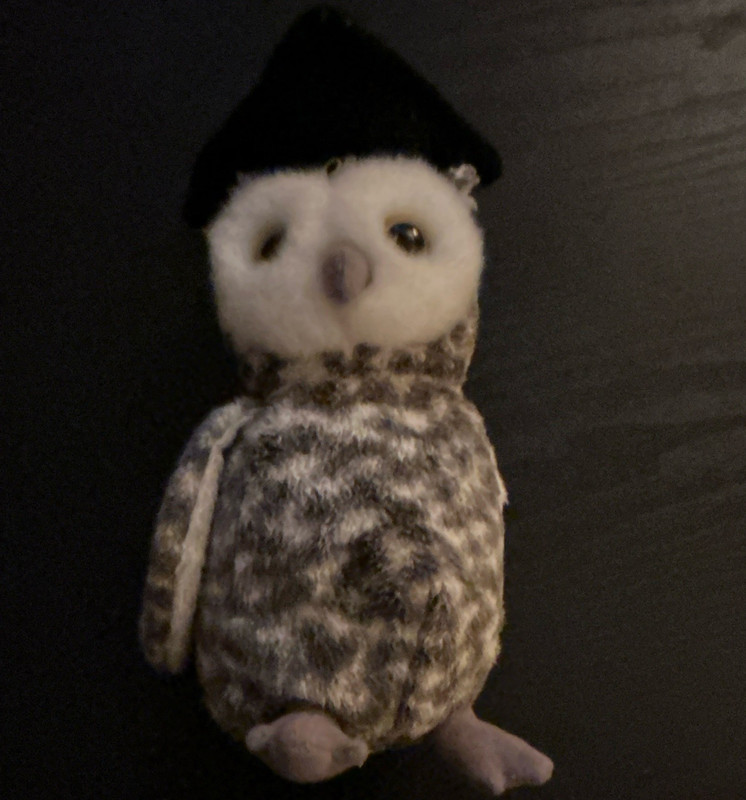 Ty Beanie Babies Smart Owl Graduation Class of 2001 Plush Beanbag MPN 3861