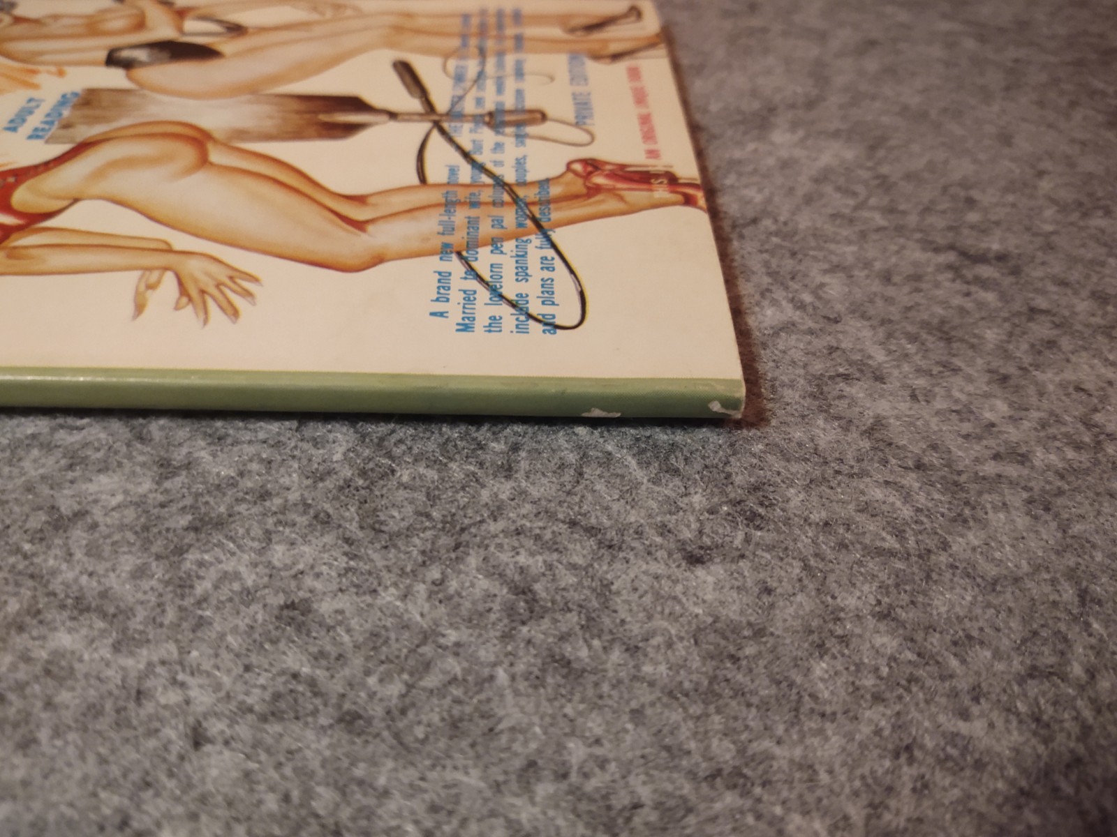 Spanking Novel 1966 Edward Landon Gene Bilbrew eneg bizarre unique books bdsm 