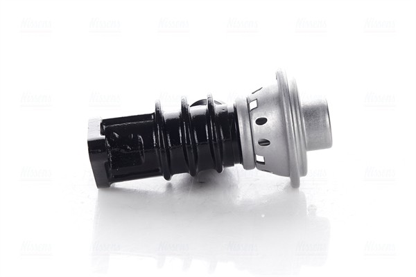 NISSENS-OE 98191-OE EGR Valve for CITROËN,FIAT,PEUGEOT