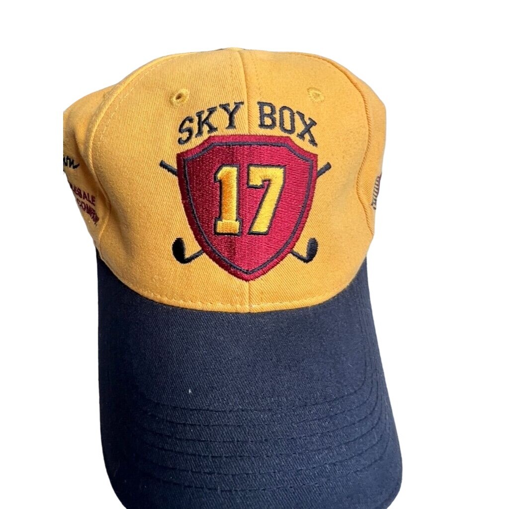 4 Assorted Baseball Cap Bundle - Sky Box 17 Taz B… - image 4