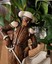treasurethepastvintageandantiques