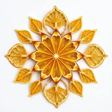 Digital picture Orange Dried Slices in flower with leaves JPG printable file