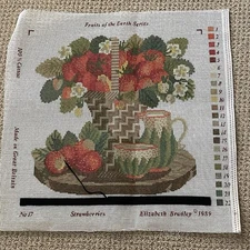 Elizabeth Bradley Fruits of Earth Needlepoint Kit #1 Fruit * Started*