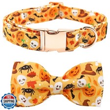 Bobo Rainbow Halloween Dog Collar, Pet Collar Bow Fall Puppy Collar Girl Boy