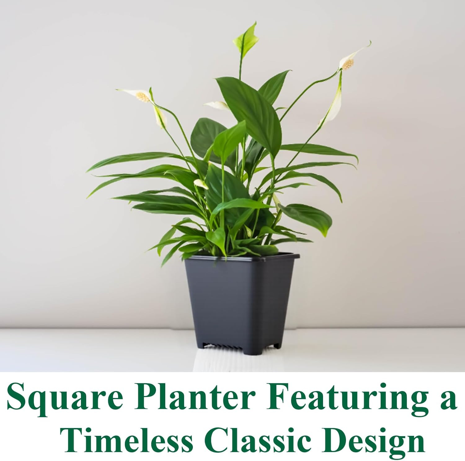 25 Packs Square Nursery Pots for Plants 3.5 Inch Succulent Plant Pots Set Plasti