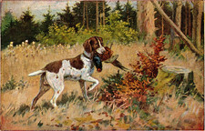 AK JAGD JAGDHUND MIT FASAN col. um 1920