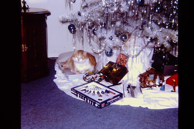 Vintage Found 1960s Slide Photo  Festive Cat Under Tree with Toy Train Display