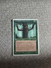 MTG Ironroot Treefolk Fourth Edition 253/379 Regular Common X2