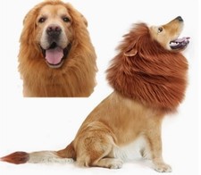 Fasching Karneval Hundekostüm