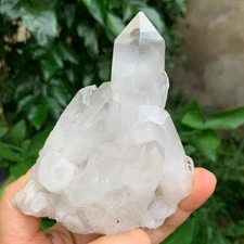 342G Natural Clear White Quartz Crystal Cluster Rough Healing Specimen