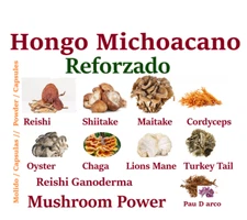 Hongo Michoacano Reforzado Molido Capsulas Reishi Ganoderma Powder Capsules