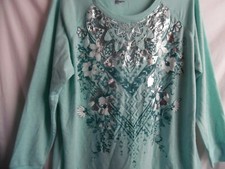 CREW NECK RAGLAN SWEATSHIRT LONG SLEEVE GRAPHIC MINT POLY RAYON FRENCH TERRY 3X