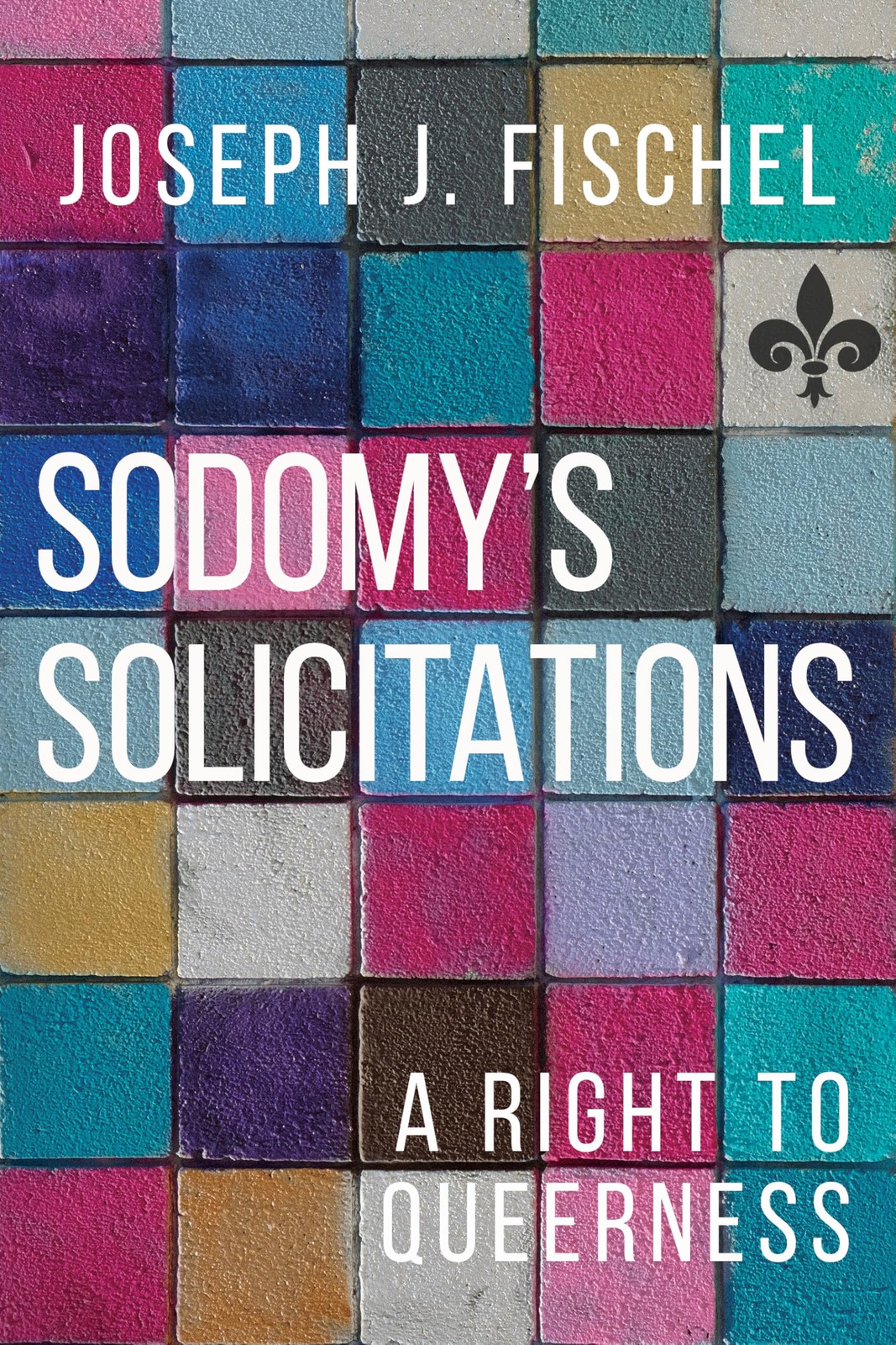 Sodomy's Solicitations: A Right to Queerness (S. Fischel, Fischel, Paperback**