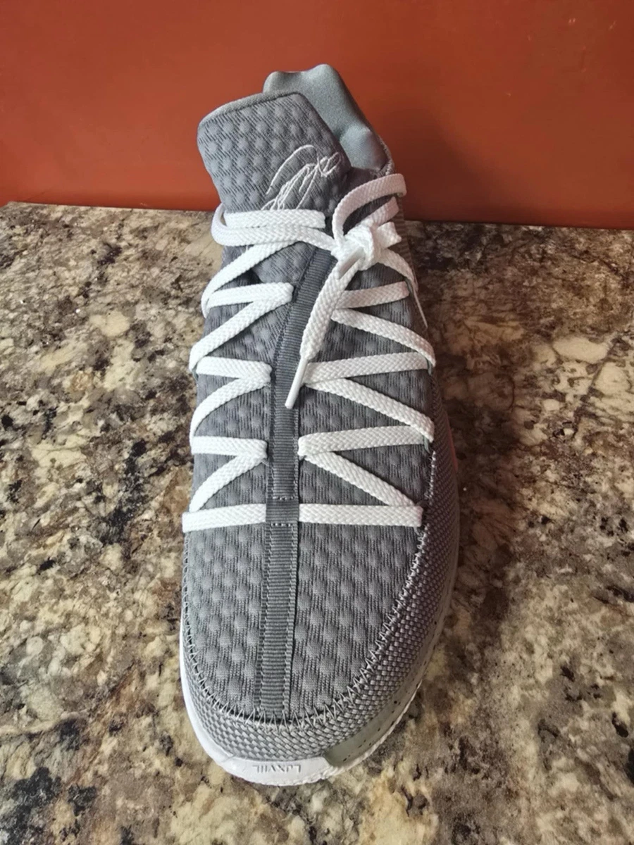 Nike LeBron 17 Low Particle Grey | eBay