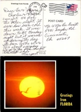 Paper Magic Greetings From Florida Postcard Used 1992 Palm Beach Sunset Seagull