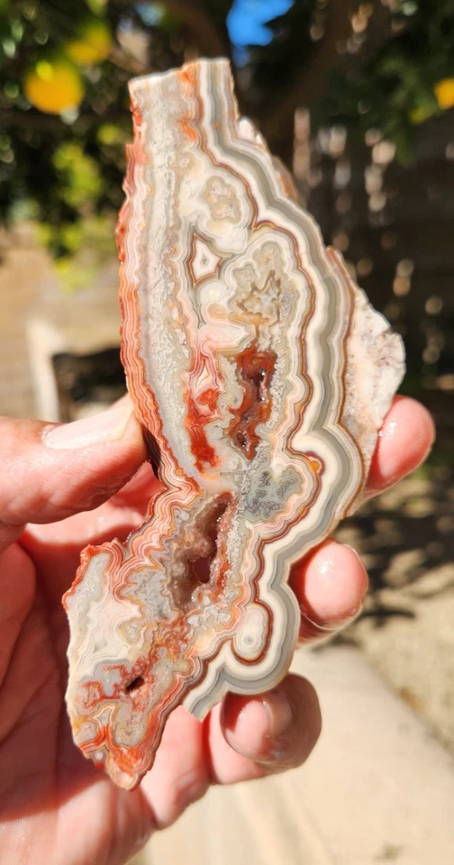 Laguna Lace Ágata Losa Sierra Ligera Marca y Cónica 5"X2"X0.27" 91 Gramos Ver Video Foto 3 de 4