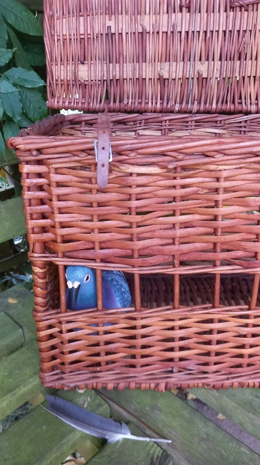 Vintage Wicker Racing Pigeon Basket Carrier Crate Hamper eBay