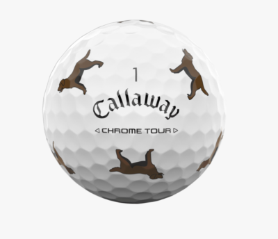 ONE Callaway Chrome Tour CHOCOLATE LAB Let the Big Dog Eat Golf
