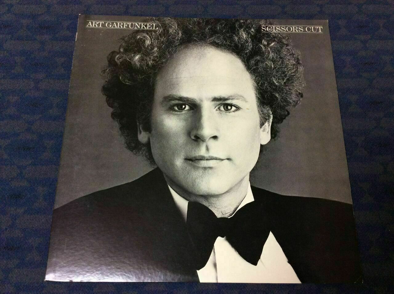 ART GARFUNKEL SCISSORS CUT 1981 Vinyl JAPAN LP 25AP 2110 CBS/SONY NEAR