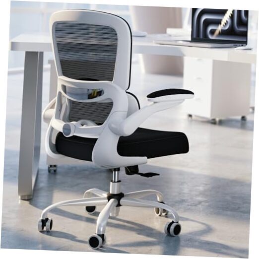 Office Chair - Ergonomic Desk Chair with Adjustable Lumbar Support, White+black